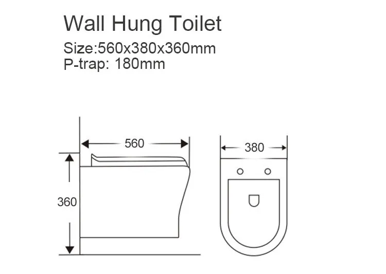 Toilet,Sanitary Ware Bathroom Accessories Washdown Hidden Flushing Wall Hung Toilet With P-trap Golden Color Ceramic One Piece G