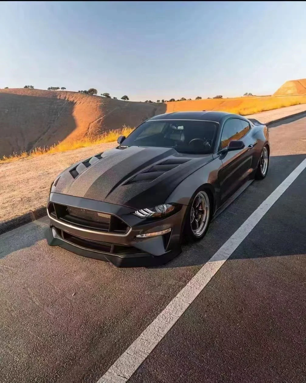 توم AutoHigh جودة ألياف الكربون AC نمط غطاء المبرد لفورد موستانج 2018-2023 غطاء صمام المحرك الأمامي