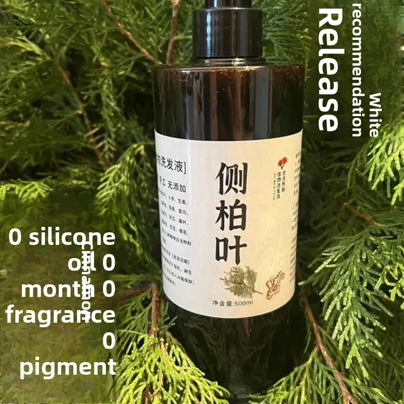 Natural Herbal Shampoo with Cypress Leaf and Ginseng Extracts, Effective Oil Control and Nourishing for Shampoos Online