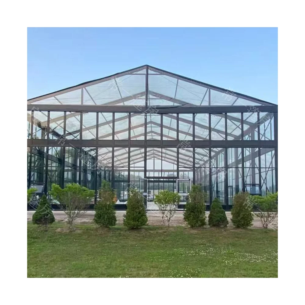 Custom Large Transparent Marquee Tent Luxury Aluminum Frame Outdoor Clear Top Wedding Event Exhibition Party Tent Design