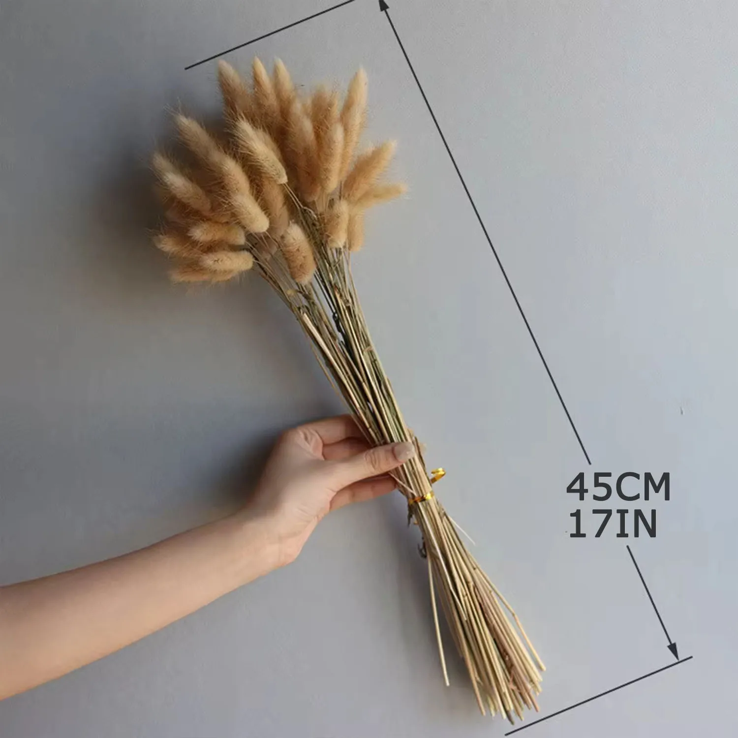 50pcs Dried Flower Rabbit Tail Grass Bouquet Wedding Home Party Desktop Fluffy Pampas Diy Flower Arrangement Decoration