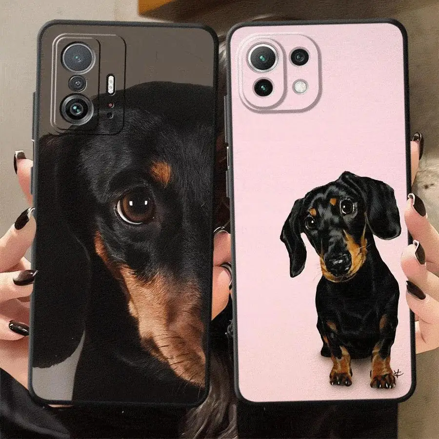 Dachshund+ Black So… - image