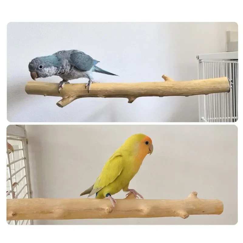 Natural Wood Pet Parrot Raw Wood Fork Tree Branch Stand Rack Squirrel Bird Hamster Branch Perches Chew Bite Toys Stick