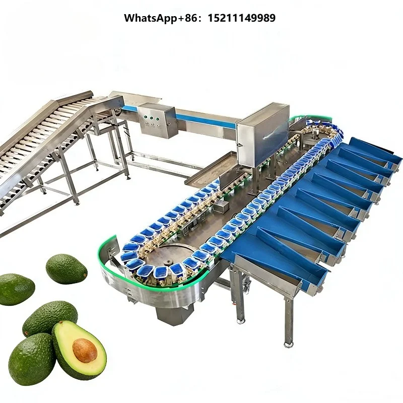 Automatic Weight Sorting Grading Machine Fruit Processing Plant Fresh Fruit Vegetable Customized 3-18 Grades Model