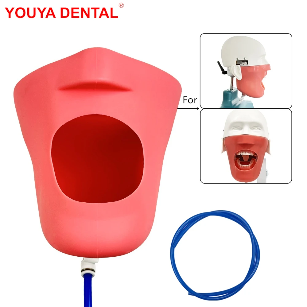 Dental Phantom Head Silicon Mask Model With Water Tube Manikin Rubber False Face Skin Cheek Dentistry Equipment Part Accessory