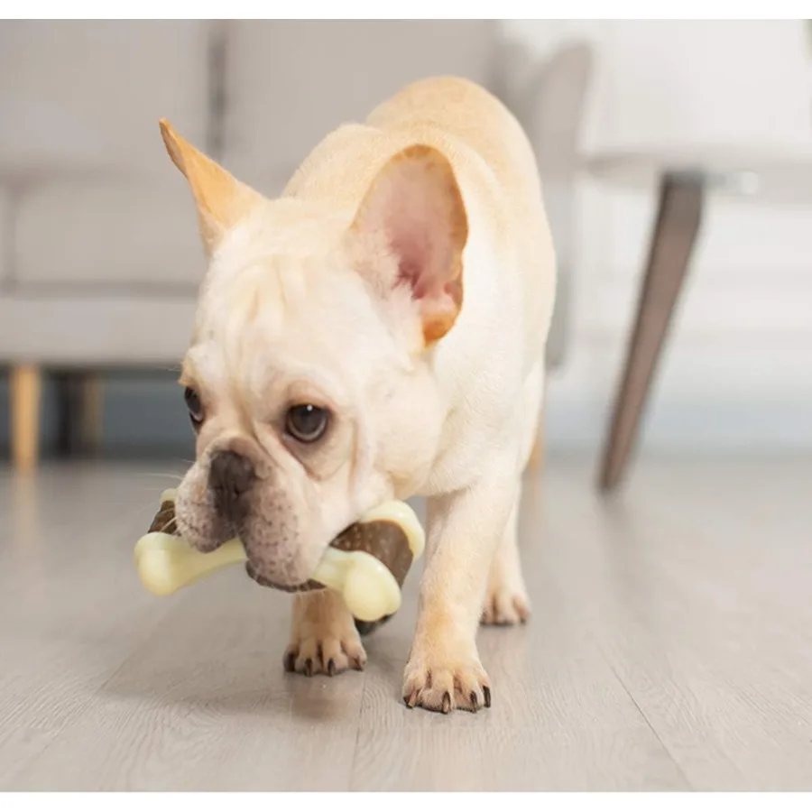 破壊不可能な犬用噛むおもちゃ、噛む力の強い大型犬用、2個パック、牛肉風味、丈夫なナイロン製の骨、大型犬、中型犬、小型犬用