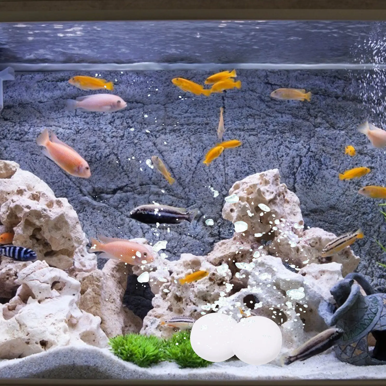 Water Grass Co2 Tablets Professional Aquarium Co2 Supplement Convenient Carbon Dioxide for Fish Tank Water Grass Growth