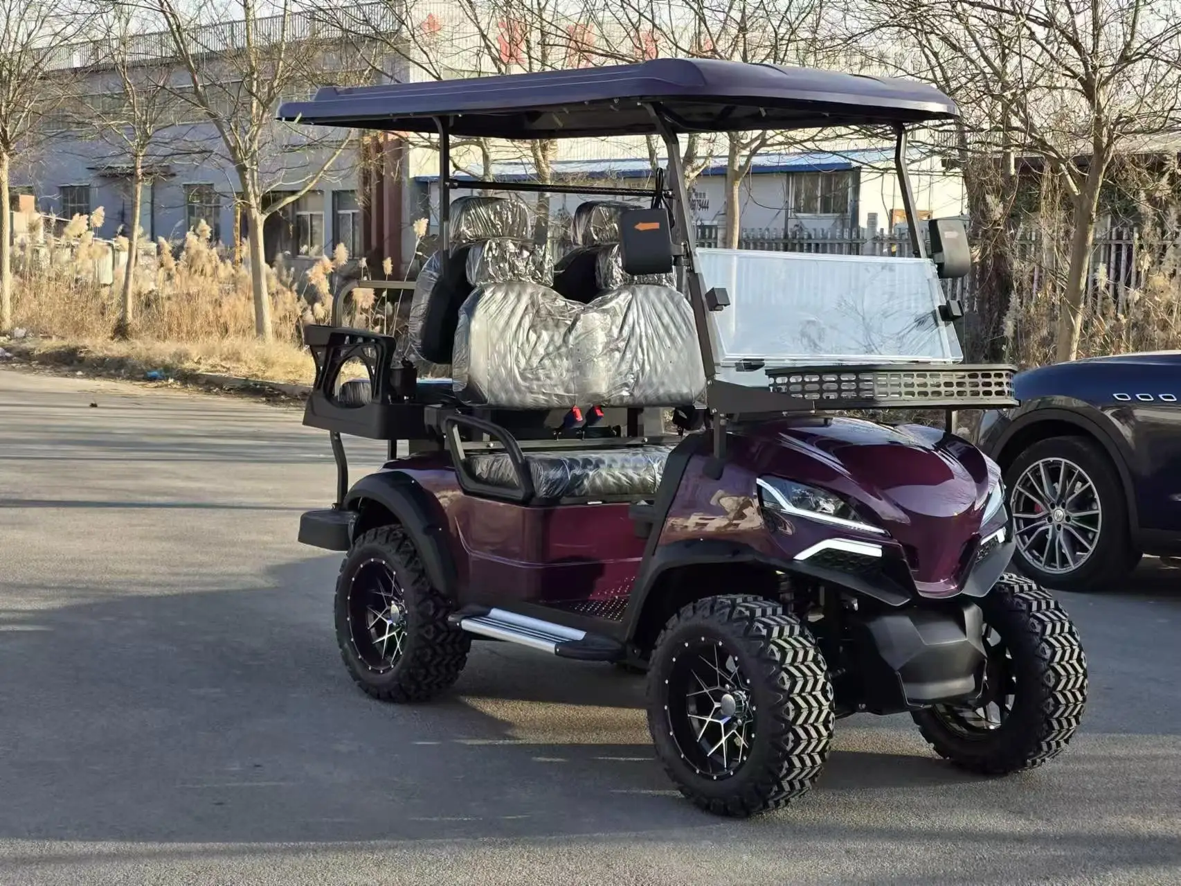 2/4/6/8 مقاعد الصيد عربة جولف الكهربائية على الطرق الوعرة عربات الغولف سيارة عربات التي تجرها الدواب سكوتر الغولف #2