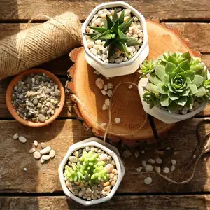 Natürliche dekorative Flussfelsen, gemischte Farbe, Kieselsteine, Kies, kleine Gartenfelsen, Bodenbedeckung für Aquarien, Landschaftsgestaltung 10 Hauptverkäufe River Pebbles - №8