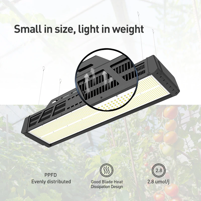 Indoor Plant Lamp For Cucumbers Tomatoes Lettuce Growth Top Lighting Grow Light LED Greenhouse 640w 800w