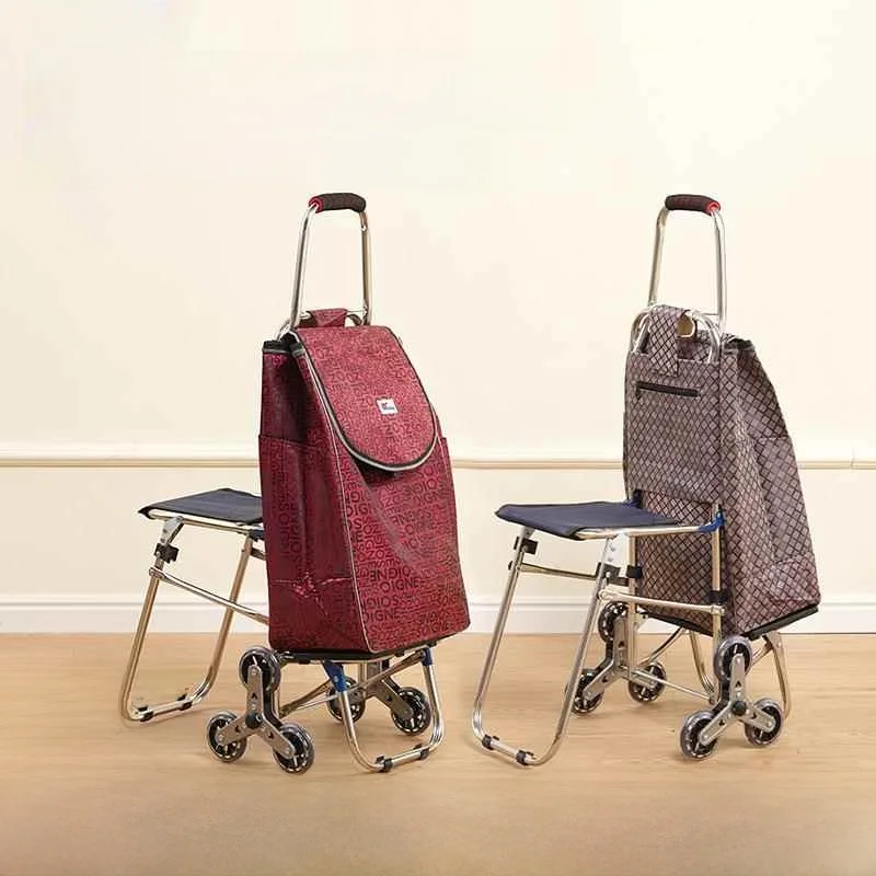 carrito-de-compras-de-acero-inoxidable-con-asiento-para-personas-mayores-plegable-portatil-para-comprar-verduras-carrito