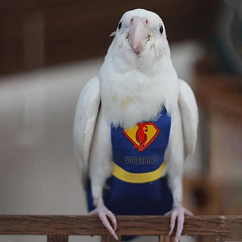 Parrot Diaper Cute Bird Physiological Diaper Cockatiel Pigeons Small Medium Large Pet Birds Flight Suit Clothes Washable