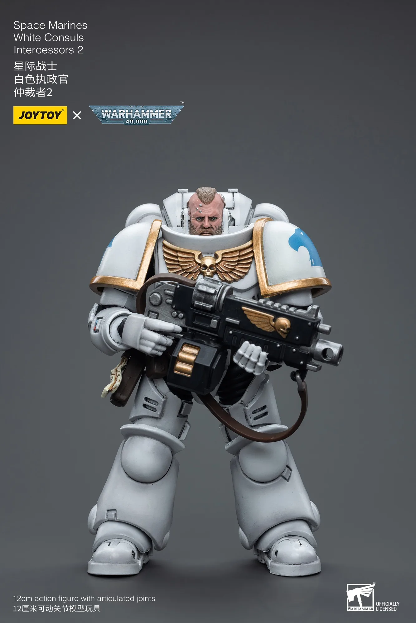 [IN STOCK] JOYTOY Warhammer 40k 1/18  Action Figure White Consuls Space Marines White Consuls Intercessors 2