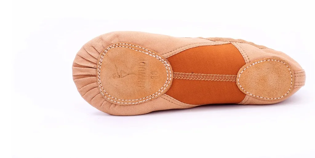 Zapatillas de Ballet para niñas y mujeres, suela suave elástica, zapatillas de lona profesionales, zapatillas de Ballet, zapatos planos de lona elásticos con suela blanda dividida