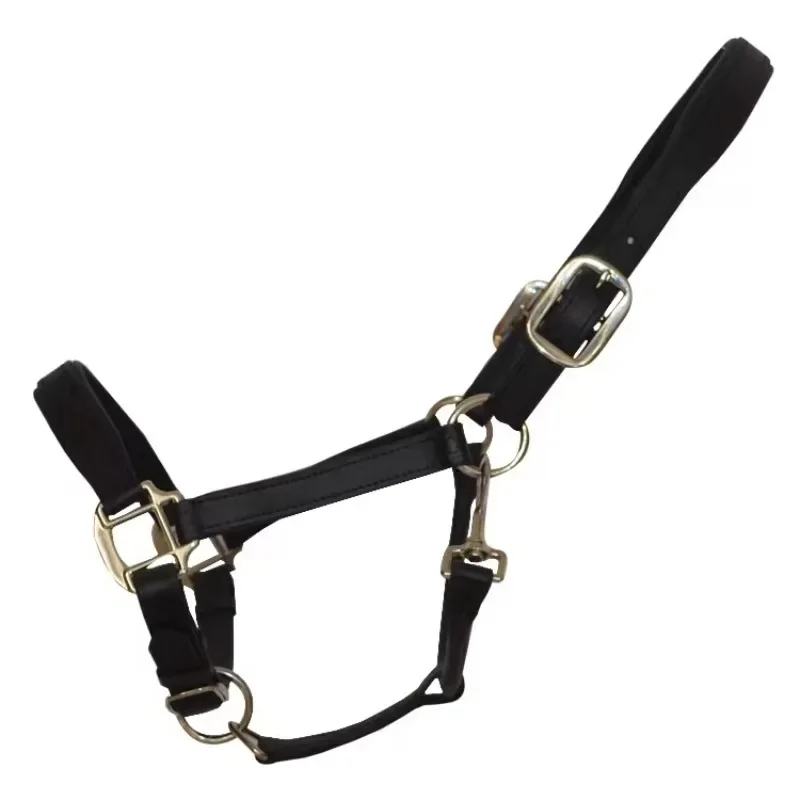 New Arrival Halter Horse Harness Riding Equipment Head Collar Leather Design for Training