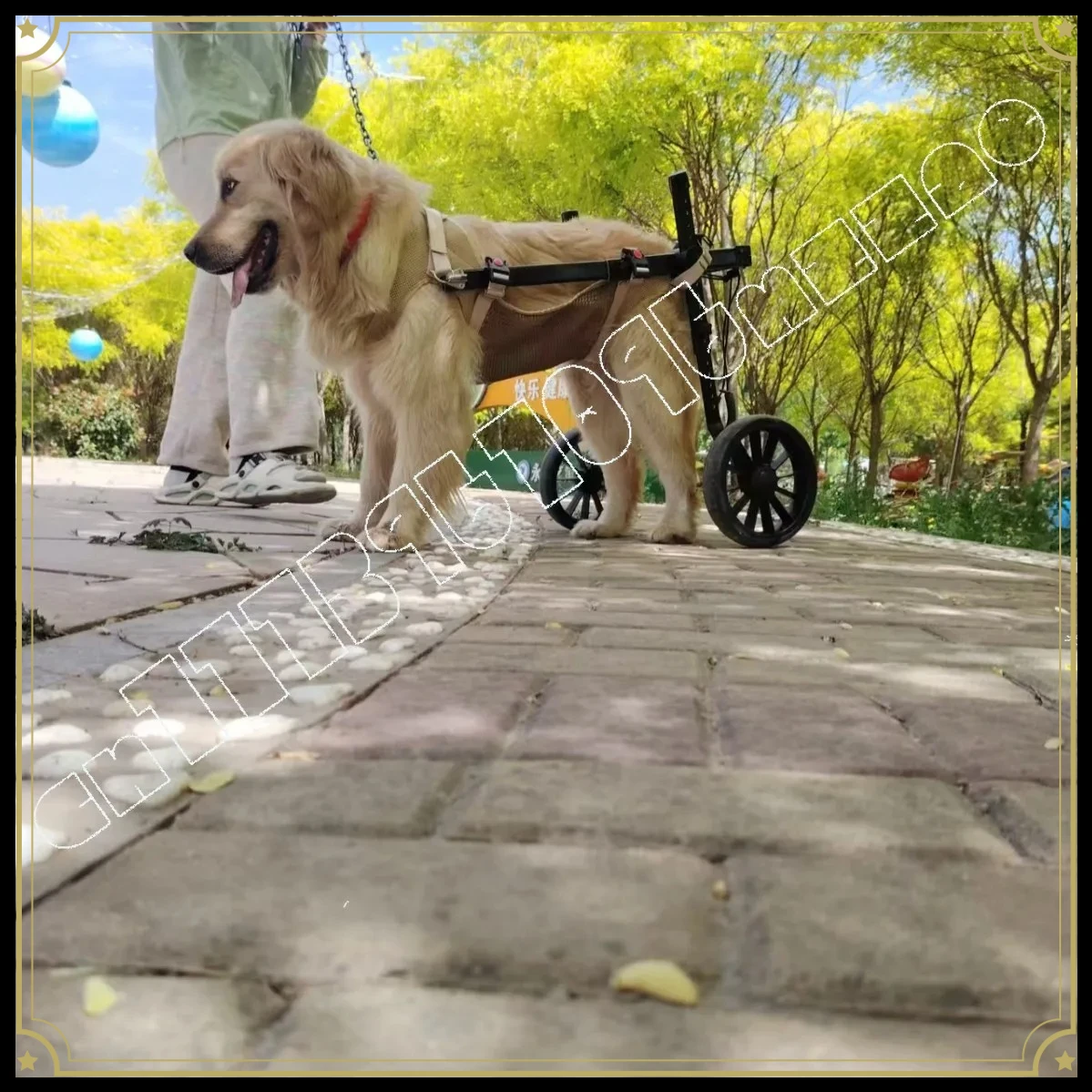 Wheelchair Pet Wheelchair Hindlimb  Disability Training Rehabilitation Scooter Senior Dog Medium and Large Dog Cart