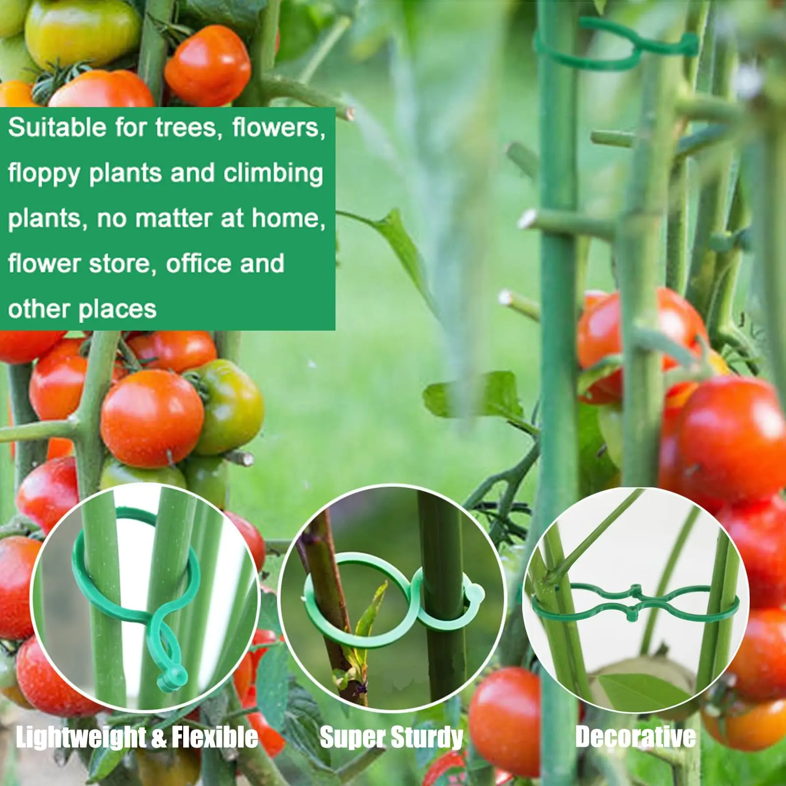 50Pcs 8 Word Buckle Vine Tying Clips Ring Fixing Bracket Garden Plant Holder Tools For Wall Climbing Decorations