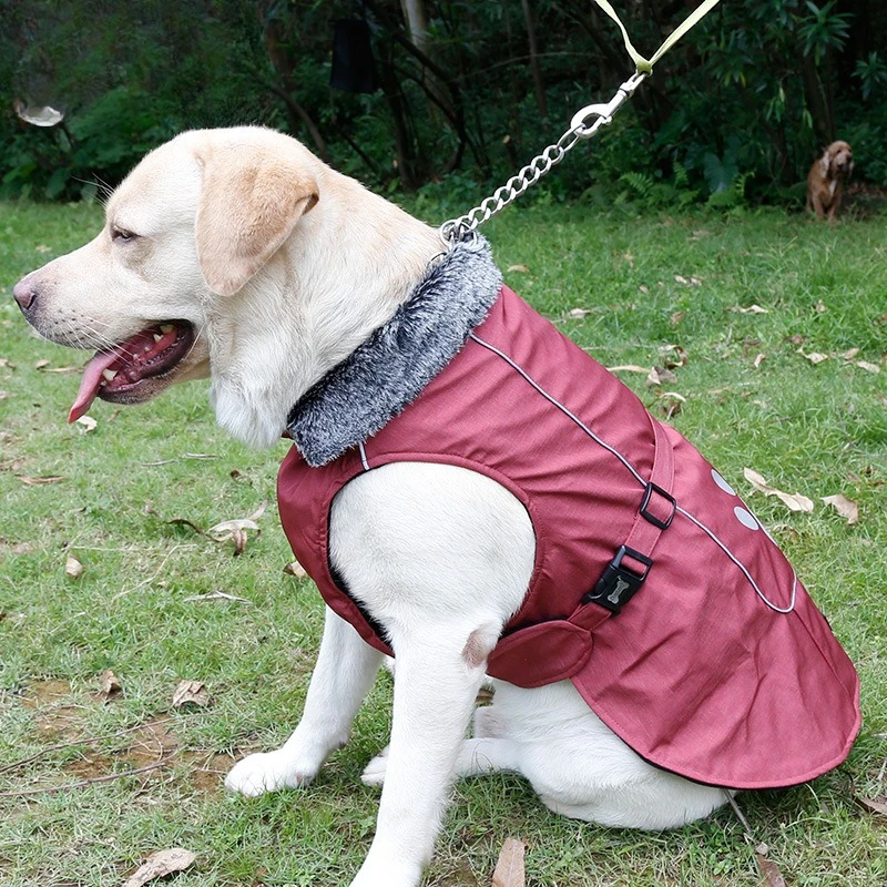 Customized dog clothes, big dog waterproof, outdoor thickened pet winter vest, one piece.