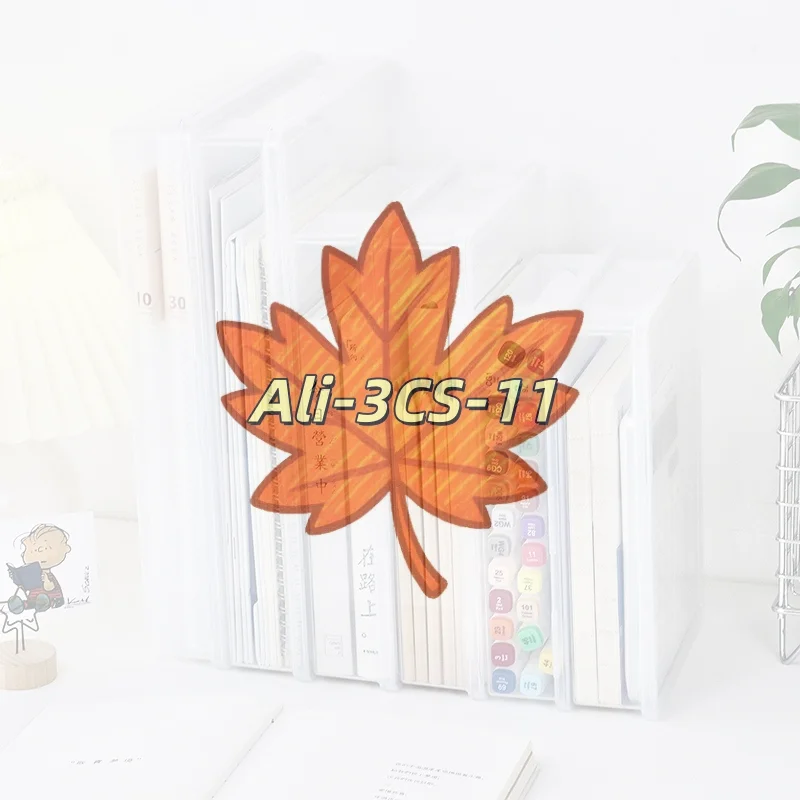 

A4 Transparent Document Organizer Box with Carry Handle, Clear Office Desktop Storage Case