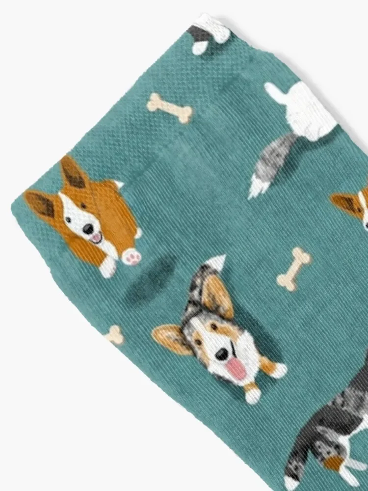 Cardigan Corgi Pattern on Teal Socks winter cool Socks Woman Men's