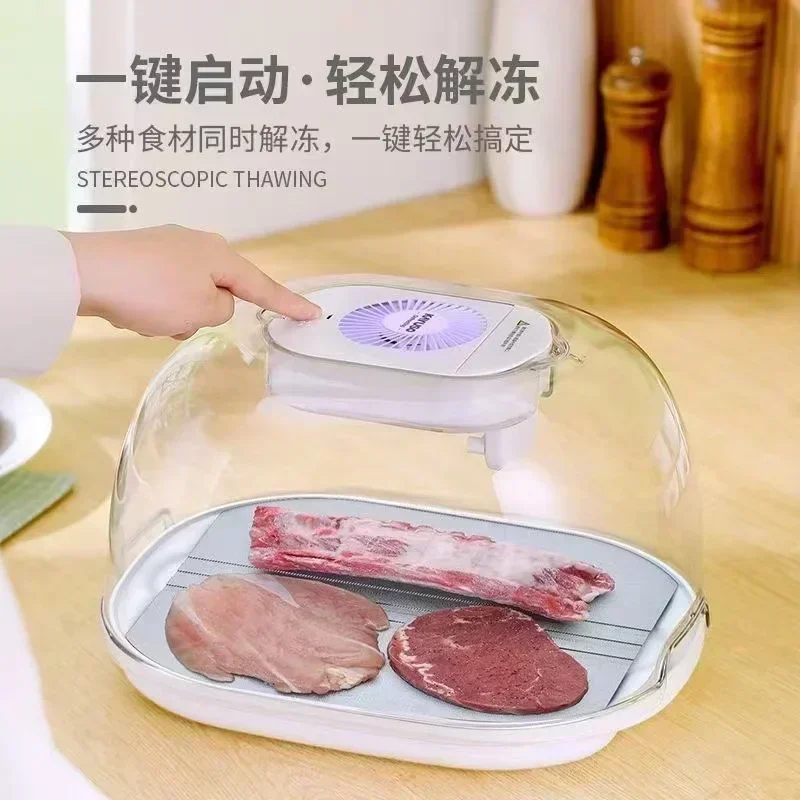 Home fresh-keeping thawing artifact food thawing machine steak food thawing machine home portable food processors