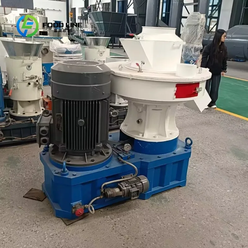 Custom vertical ring‑die granulator industrial biomass pellet processor for rice husk wood straw grass bio‑fuel particle factory