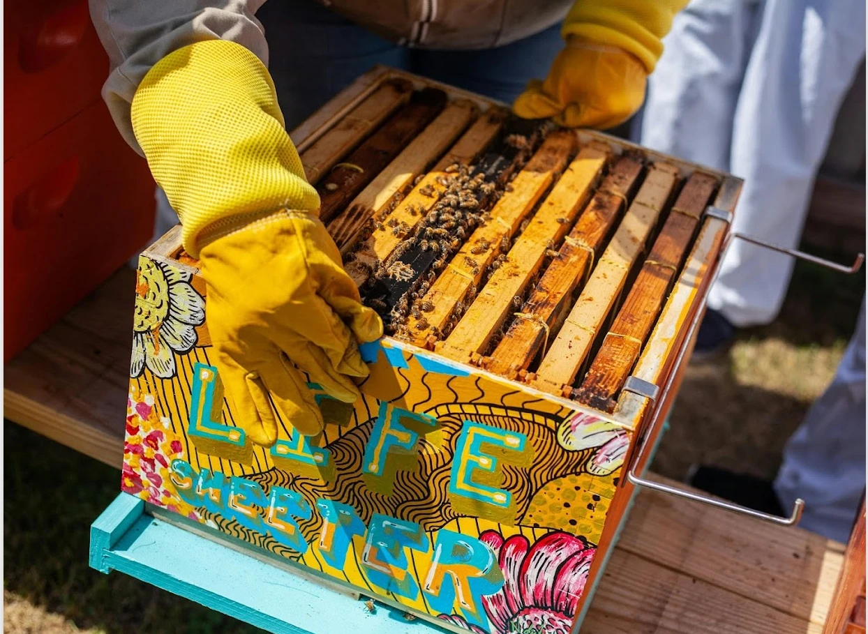 Bee honey - encinah honey 2000g -artesana. Great taste 2023 #3