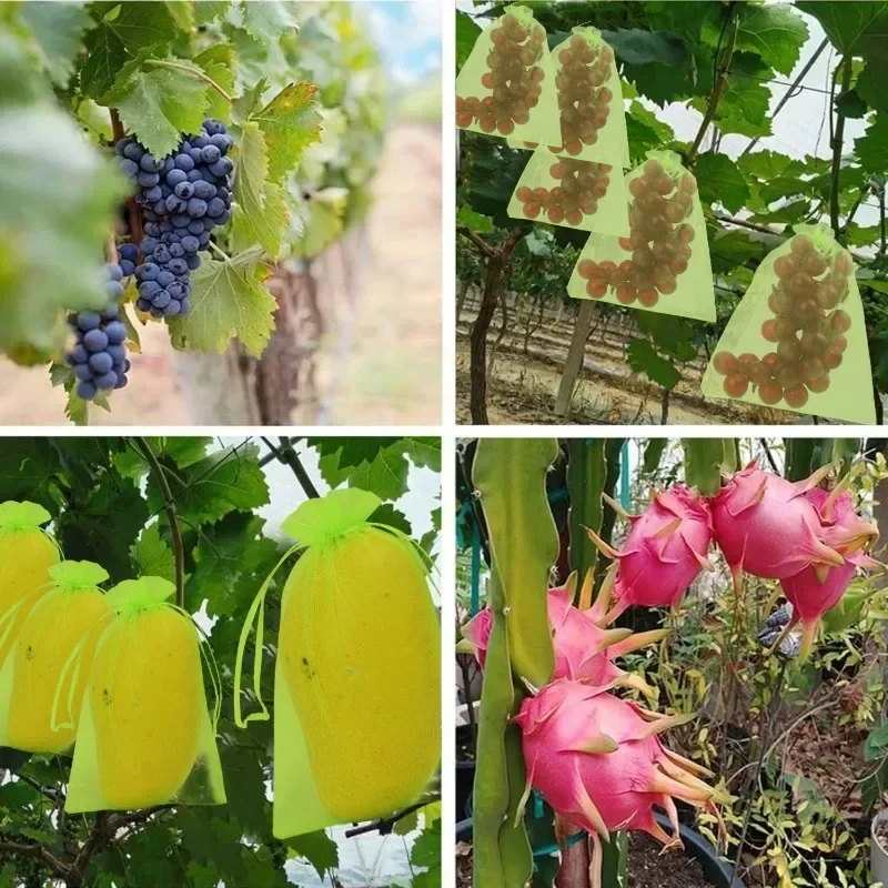 10/100 قطعة أكياس حماية الفاكهة العنب شبكة حقيبة مكافحة الطيور مكافحة الآفات الخضار الفواكه شبكة يغطي مع الرباط أدوات الحدائق