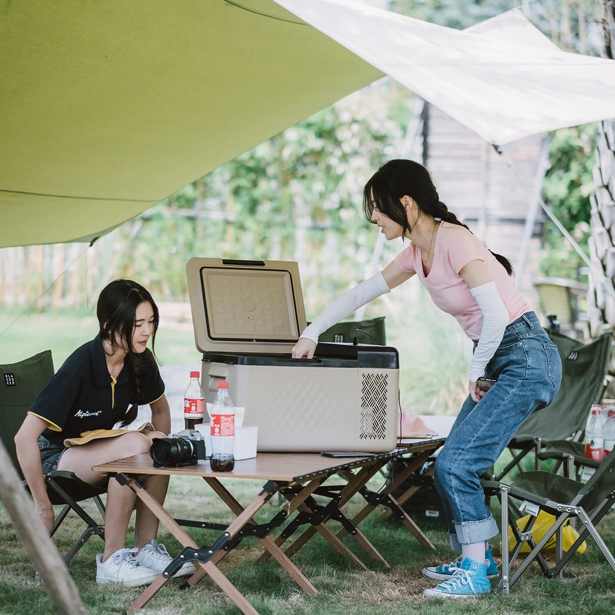 Alpicool RT25 Portable Camping Outdoor Fridge AC DC Dual Use Freezers 12V Single Zone Compressor Mobile Car Refrigerator