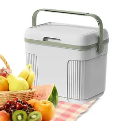 10L Car Camping Fridge Insulation Box Auto Traveling Ice Chest Camping Picnic Cooler Box For Lunch Car Accessories