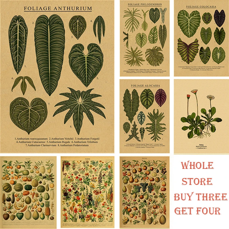 Botanical Illustration Poster Plant Leaf Flower Kraft Paper Posters Vintage Home Room Bar Cafe Decor Aesthetic Posters for Wall