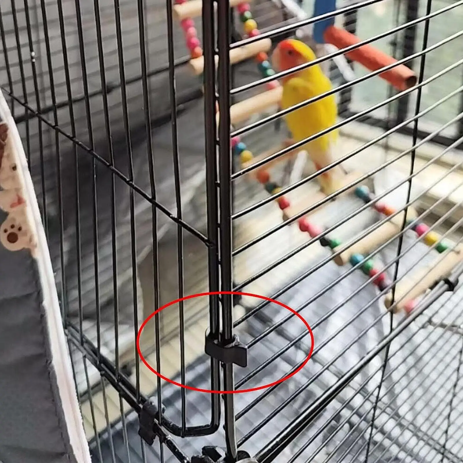 

40Pcs Crate Door Buckles Versatile DIY Pet Cage Connection for Organizer Box Pet Enclosures Home Furniture Cat Dog Cage Fence
