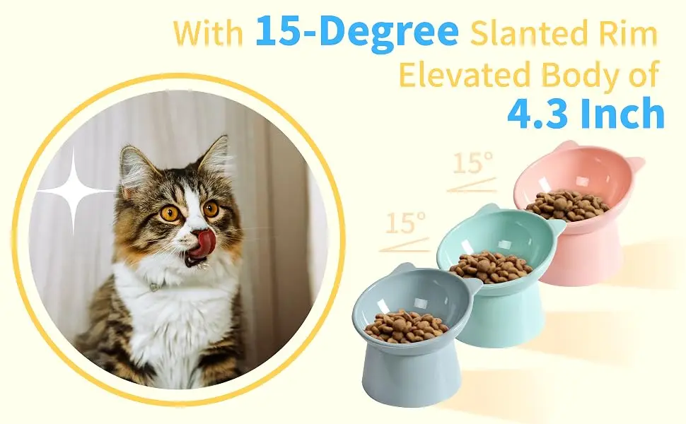 cat bowl 2