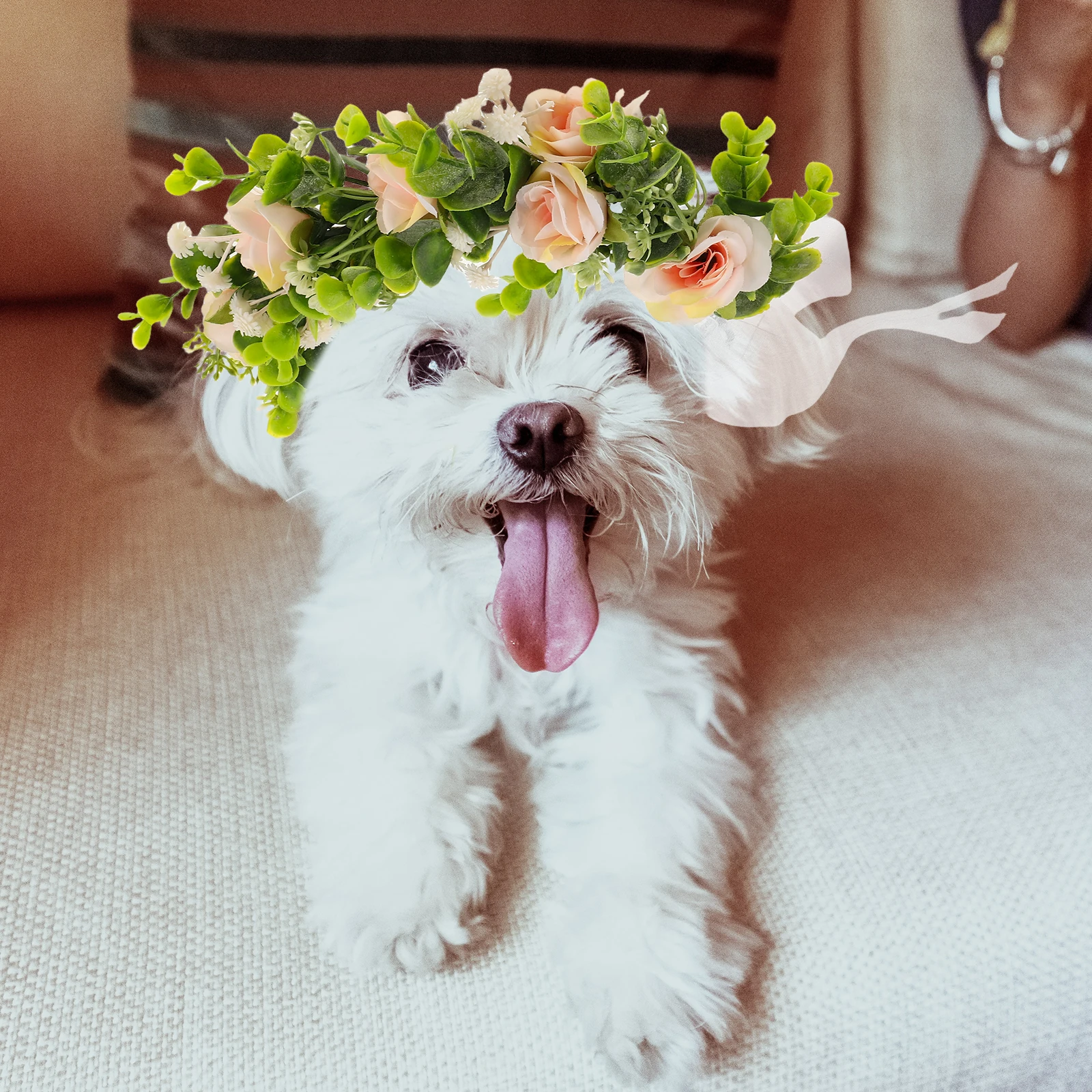 

The Dog Wedding Pet Decoration Bride Flower Decorations Fabric Cute Collar with