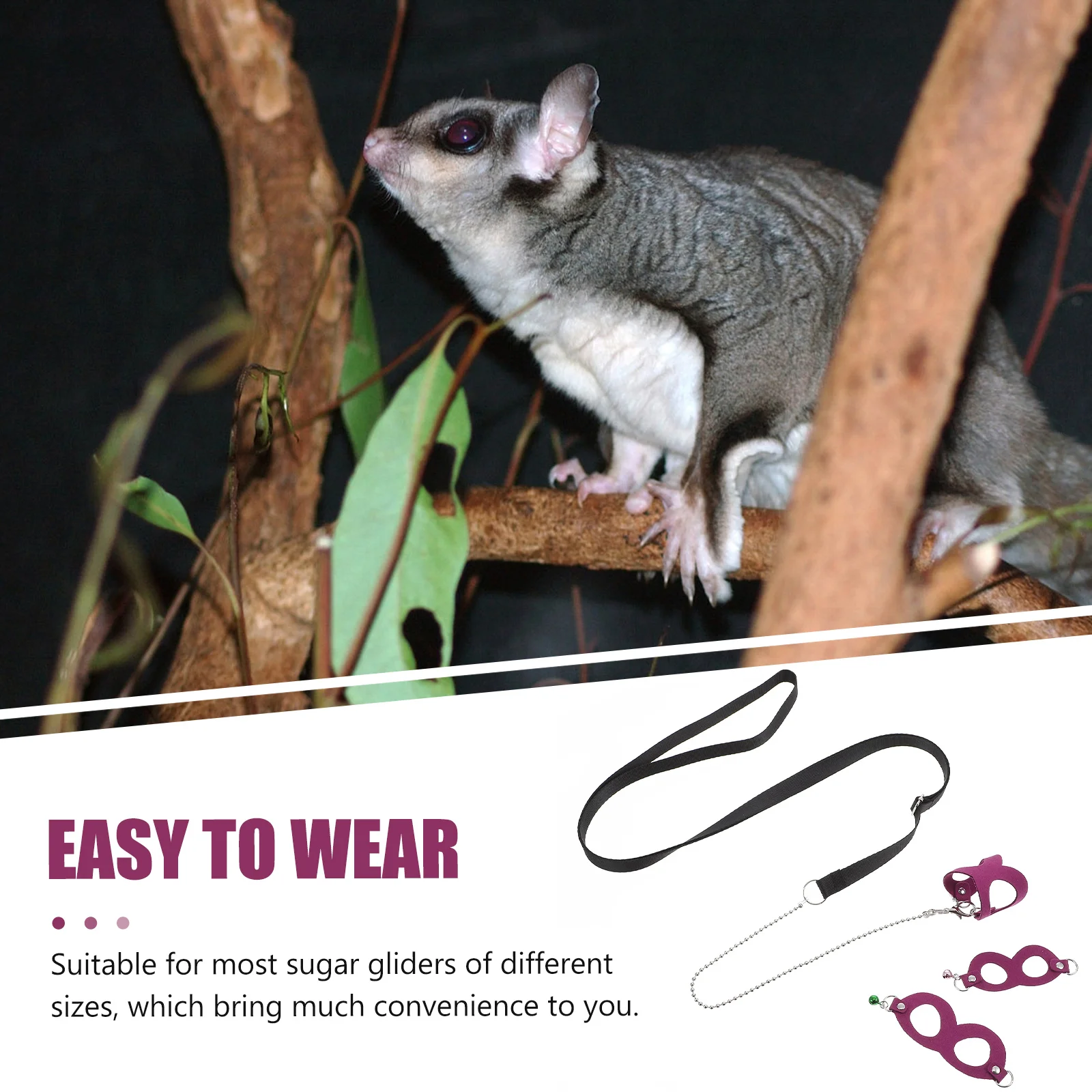 

Lightweight Mini Traction for Sugar Small Walking Harness Compact Carry Belt Easy Storage Glider Pet StrapSugar Glider Traction