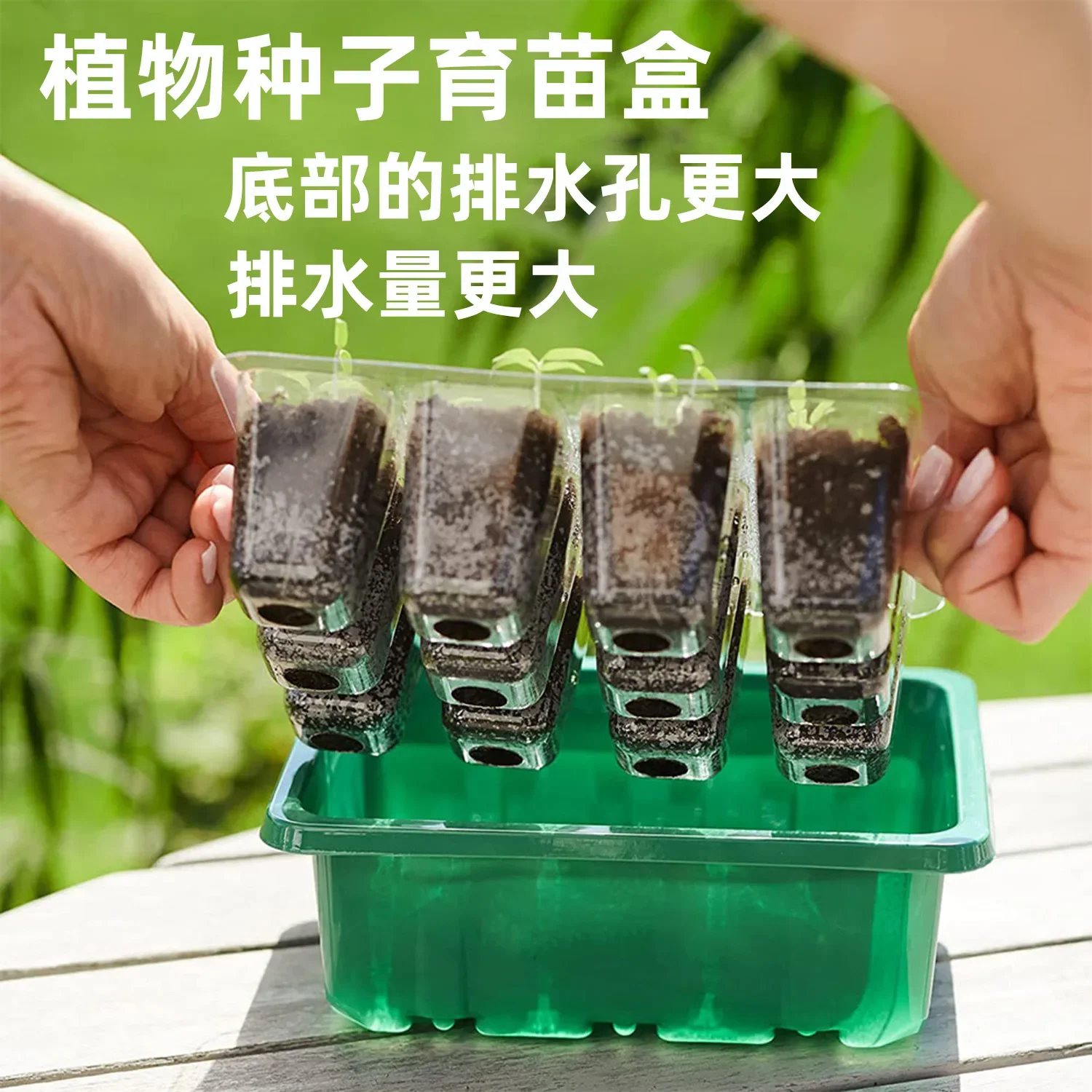 일체형 성장 조명이 포함된 12홀 종자 스타터 트레이 식물 | 가정용 온실 사용 및 식물 재배 프로젝트에 적합한 육묘용 냄비
