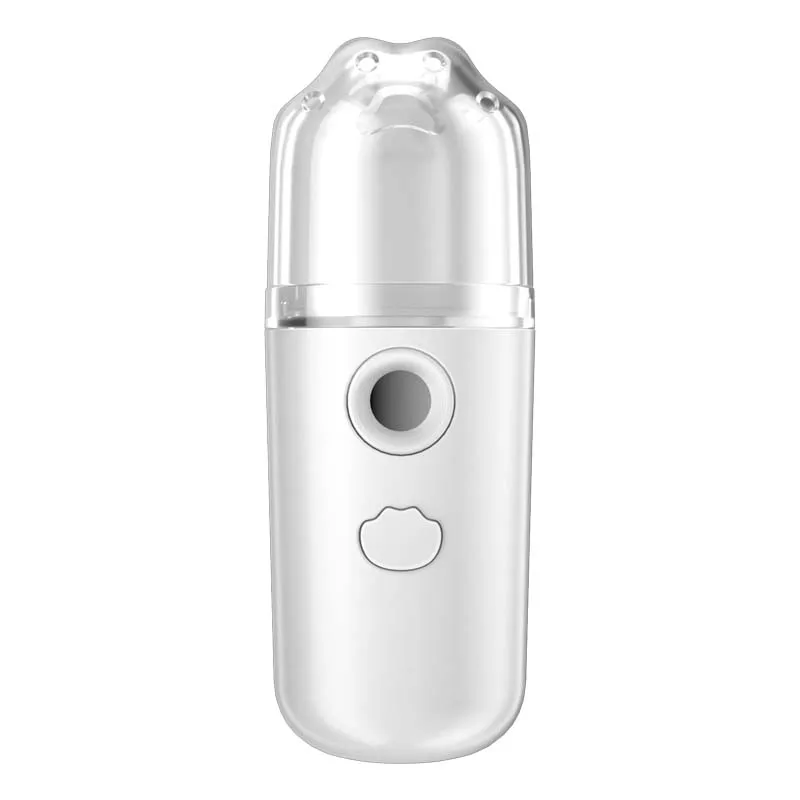 Mini Style Usb Nano Face Spray  Mist Beauty Instrument