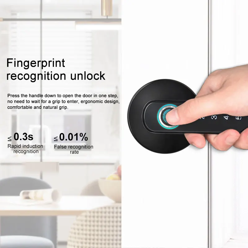Eseye High Quality TTLOCK APP Smart Electronic Lock For Indoors Smart Lock Door Fingerprint Intelligent lock