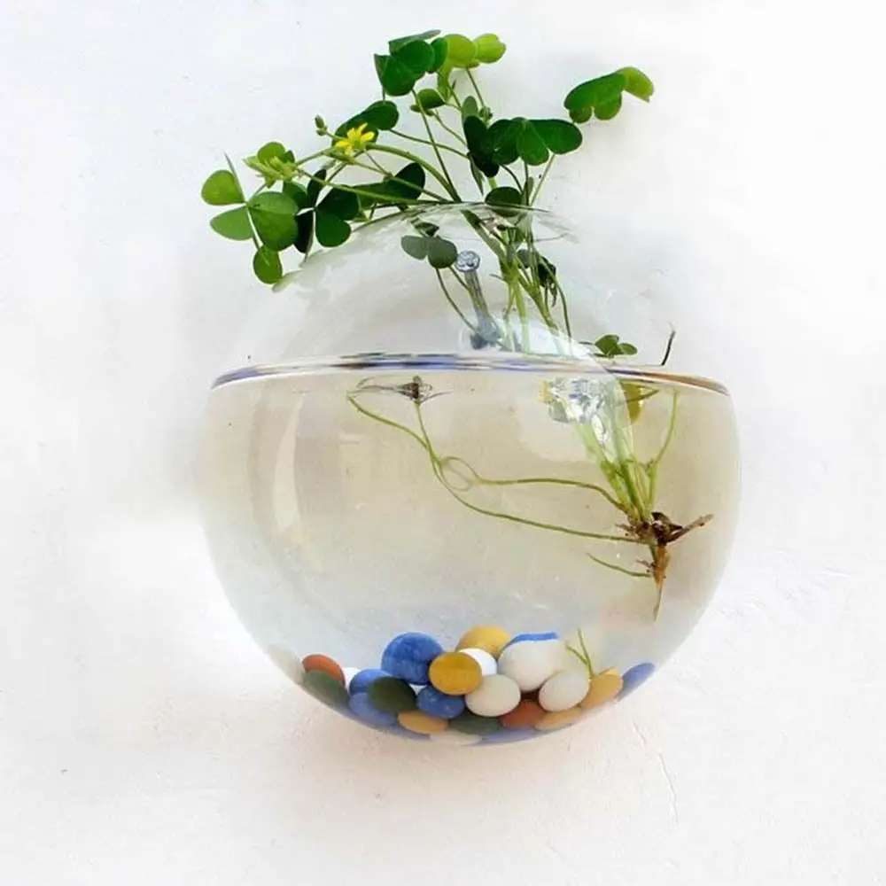 Transparent Glass Vase Wall Hanging Hydroponic Terrarium Fish Tanks Potted Plant Flower Pot Dia 8cm/10cm/12cm/13cm/15cm - view 3