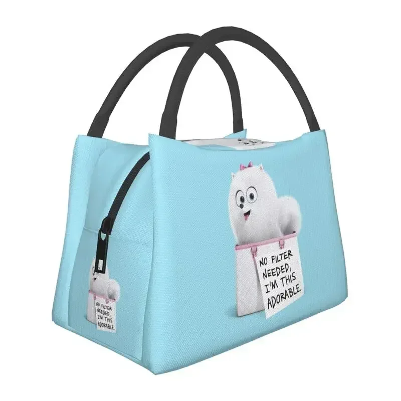 

Custom Cute Pomeranian Dog Lunch Bag Men Women Cooler Warm Insulated Lunch Boxes for Picnic Camping Work Travel