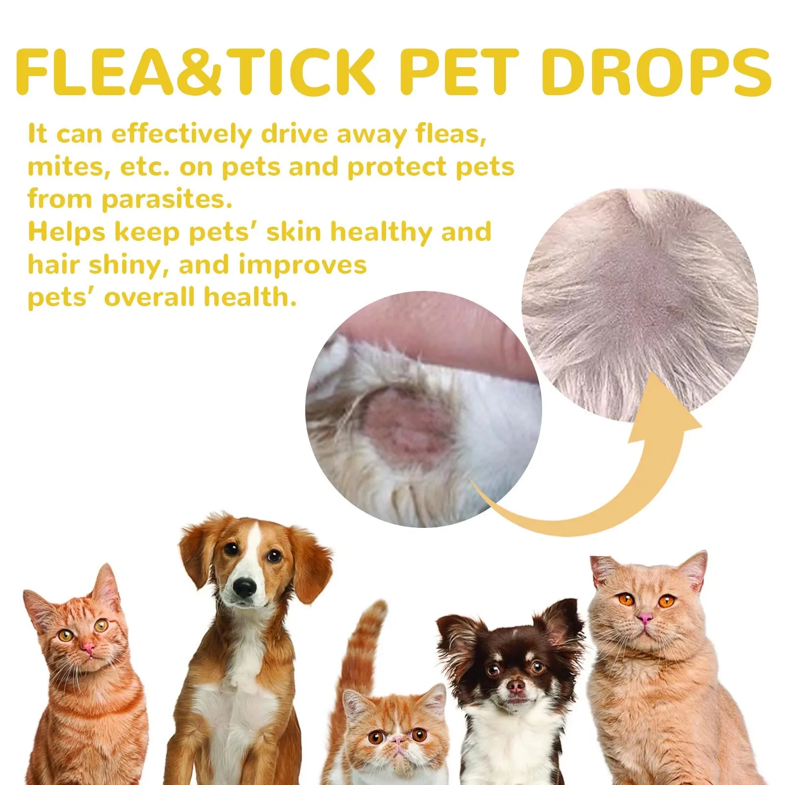 Cat Anti Flea Drop Flea Lice Killer Mite Insect Treatment Repel Parasite Relieve Itching Anti Tick Protection Pet Flea Repellent