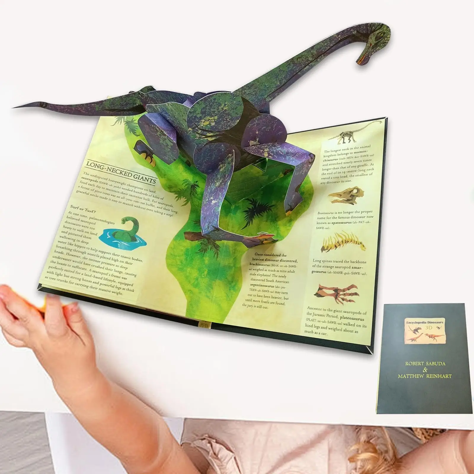 Libro de dinosaurios 3D, divertido libro de educación temprana para niños pequeños, niños y niñas