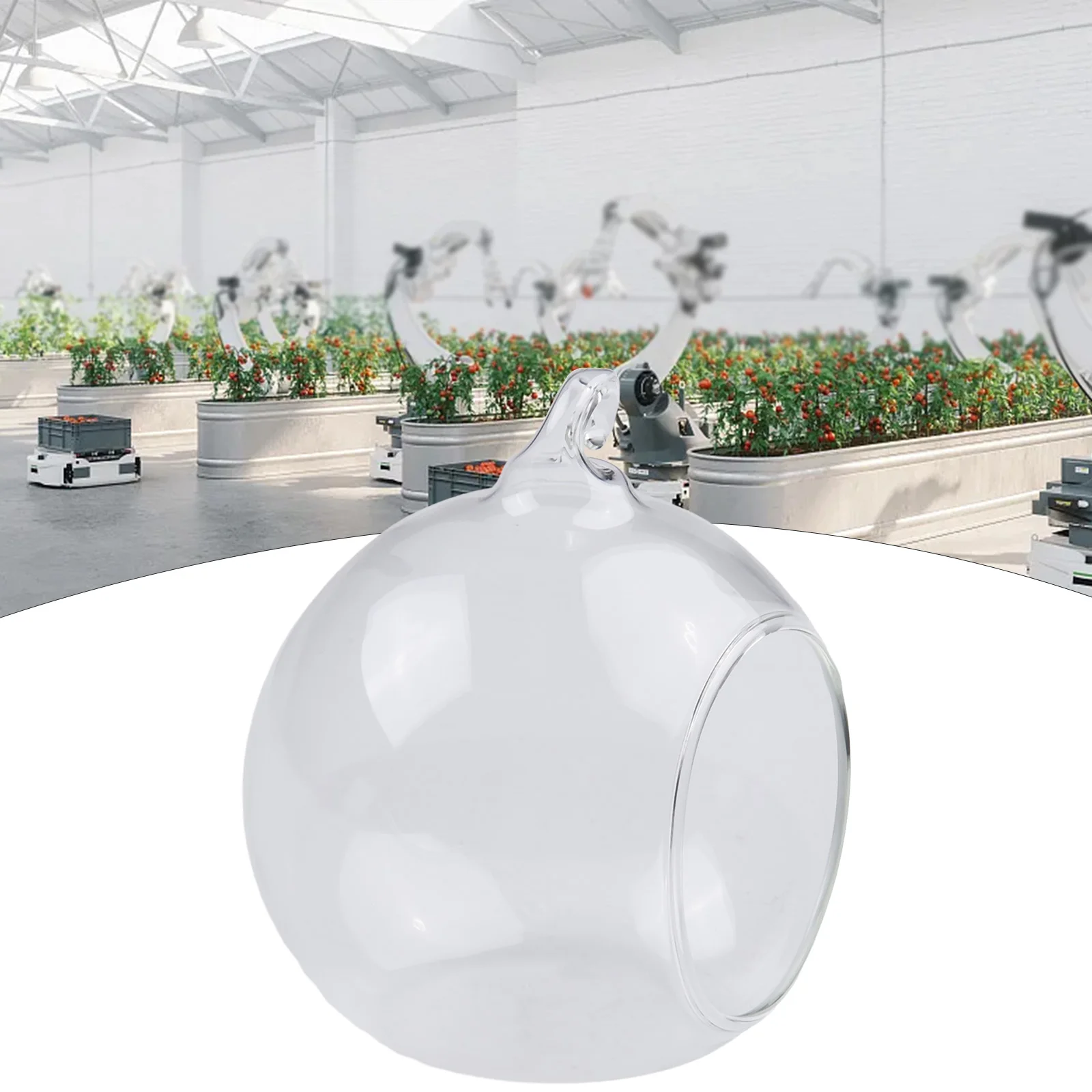Borosilicate Glass Ball Vase with Hanging Loop and Flat Bottom Designed for Terrarium Use and Small Plant Display Arrangements
