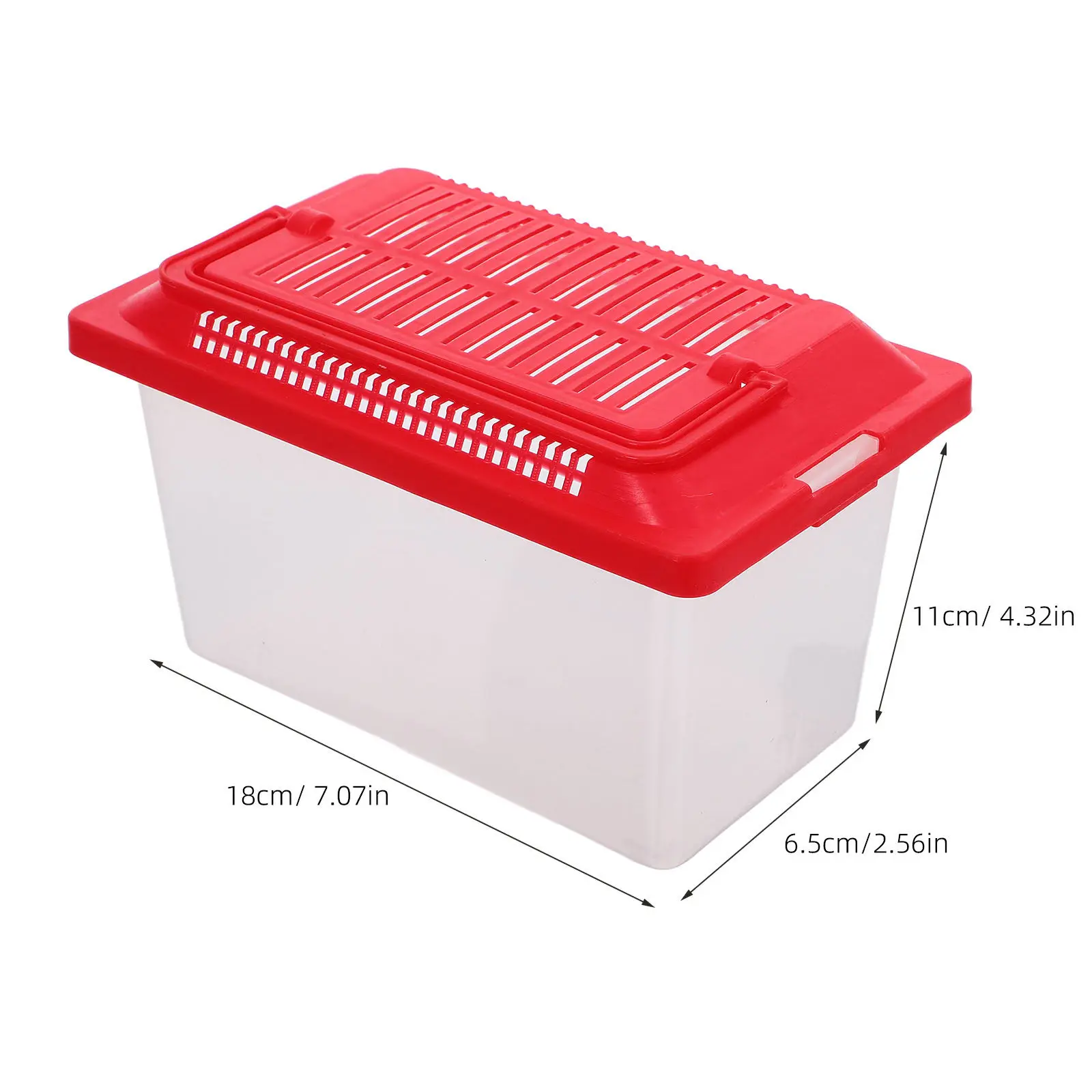Lightweight Portable Turtle Tank Design Easy-Clean Smooth Surface Reptile Feeding Box Transparent Plastic Fish Tank