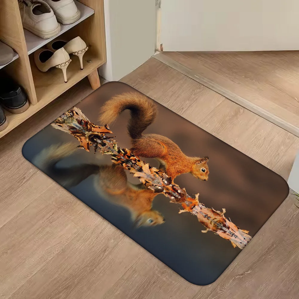 

1pc F-Fall S-Squirrel Floor Mat Home Bathroom Absorbent Mats Anti-Slip Mats Home Decor Supplies