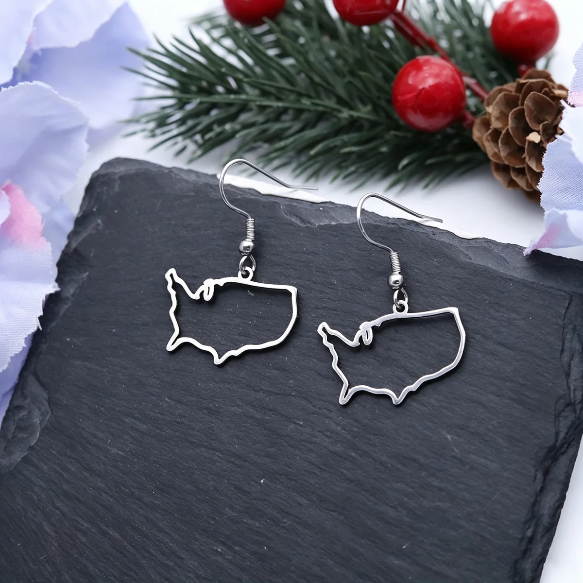 Chandler United States Country Map Dangle Earrings for Women Gift Stainless Steel Hollow American USA Map Earring Jewelry