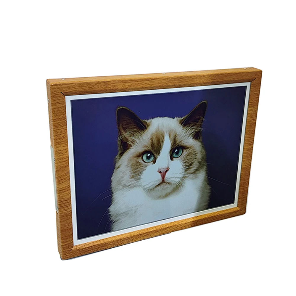 13.3" Color E Ink D…