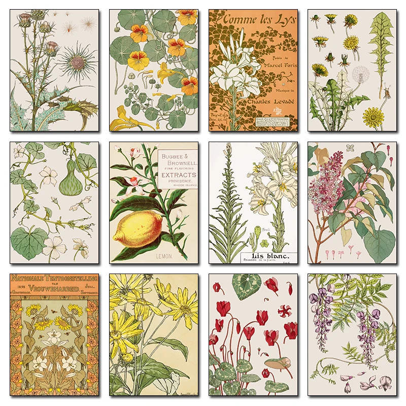 Art Nouveau Blumen Botanische Illustration Glyzinien-Druck Vintage Poster Druckbare Leinwandbilder Wohnzimmer-Dekor-Set