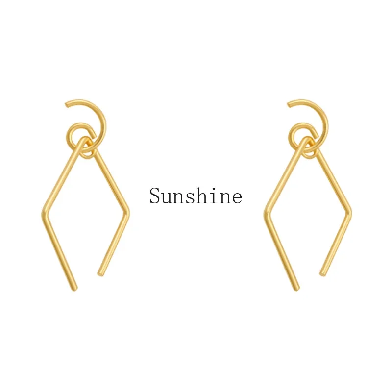 

European and American style metal large earrings women's high sense fashion temperament earrings