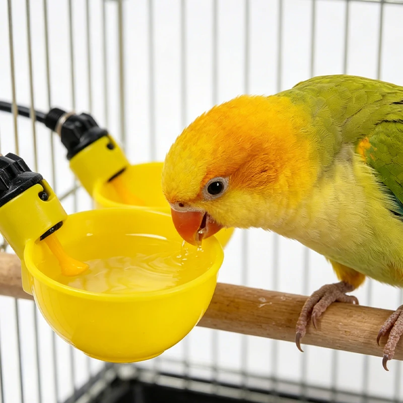 Bebedero automático para aves de corral: codornices y pollitos - imagen 2
